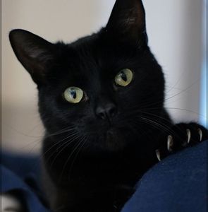 Meet your Posher, Mitchell